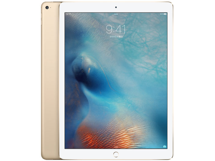 iPad Pro Wi-Fif 128GB ML0R2J/A [S[h]