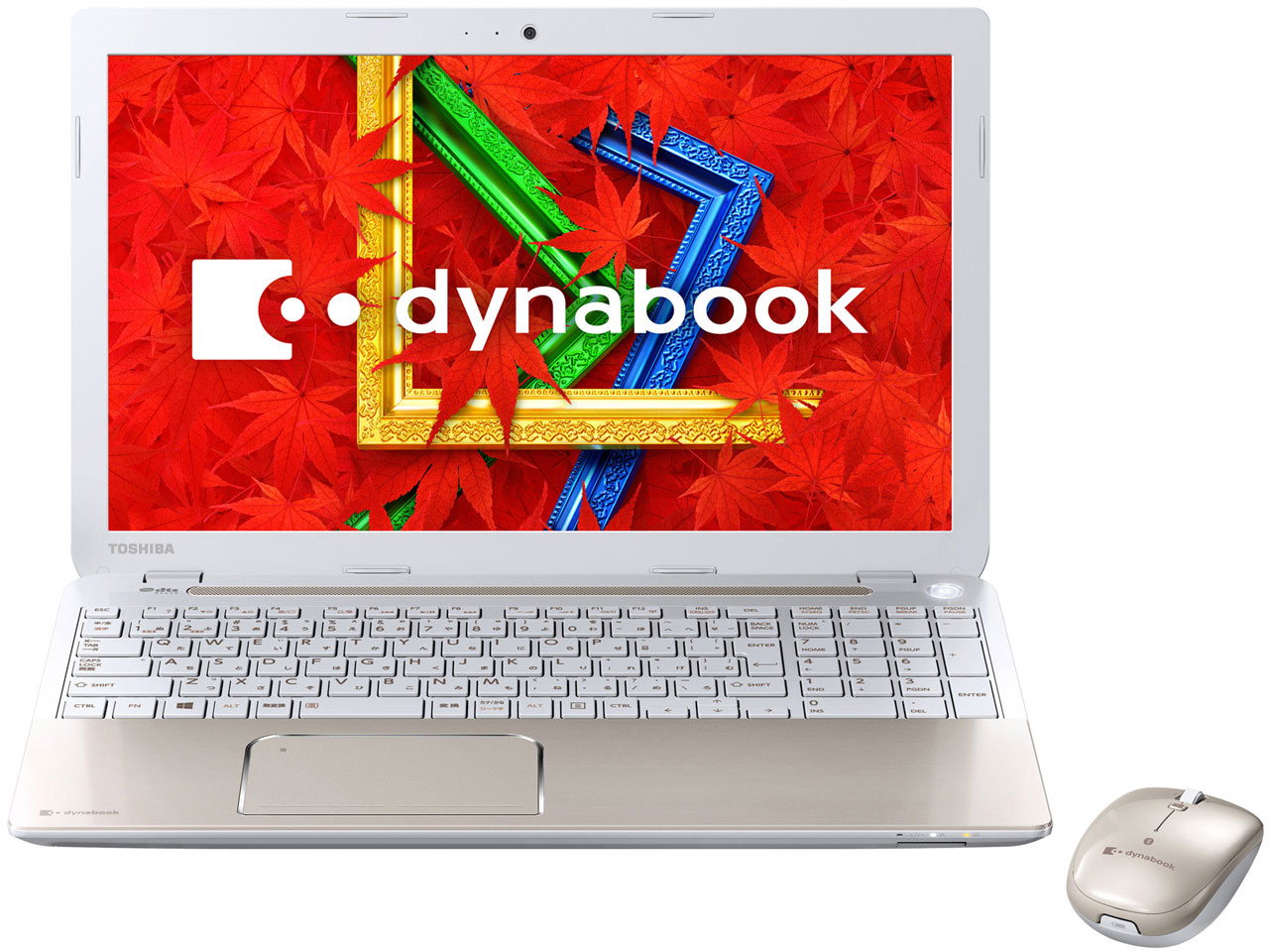 dynabook T554 T554/45KG PT55445KSXG [CgS[h]